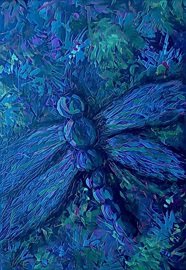 Dragonfly series B Digital Art by Megan Walsh
