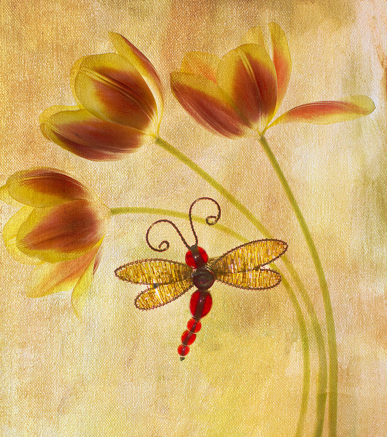 Tulip Photograph - Dragonfly Tulips by Rebecca Cozart