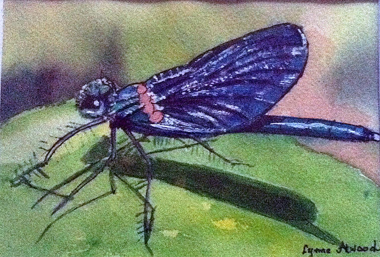 Dragonfly Painting - Dragonfly with shadow by Lynne Atwood Dragonfly Painting - Dragonfly with shadow by Lynne Atwood