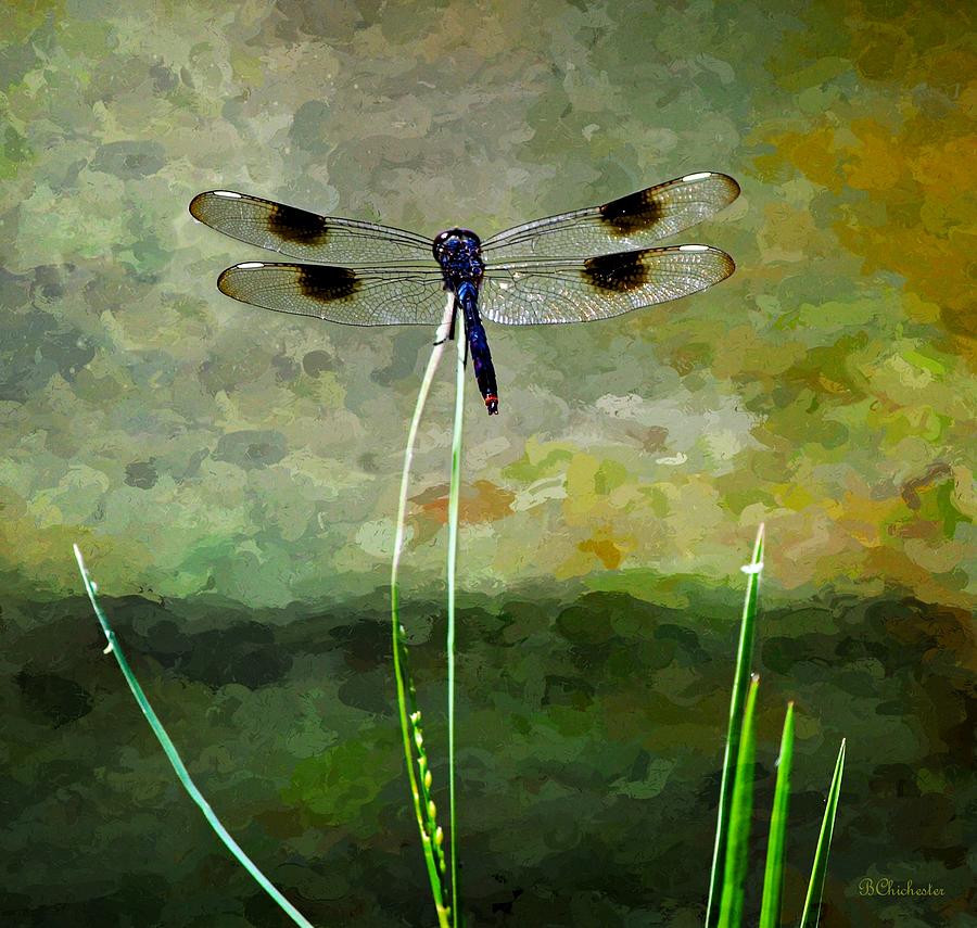 Fantasy Painting - Dragonflys Pinnacle by Barbara Chichester