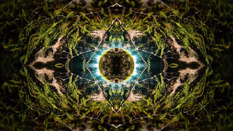Holde kim Thanksgiving Dragon's Eye - Psychedelic Nature Kaleidoscope Photograph by Jared Blake