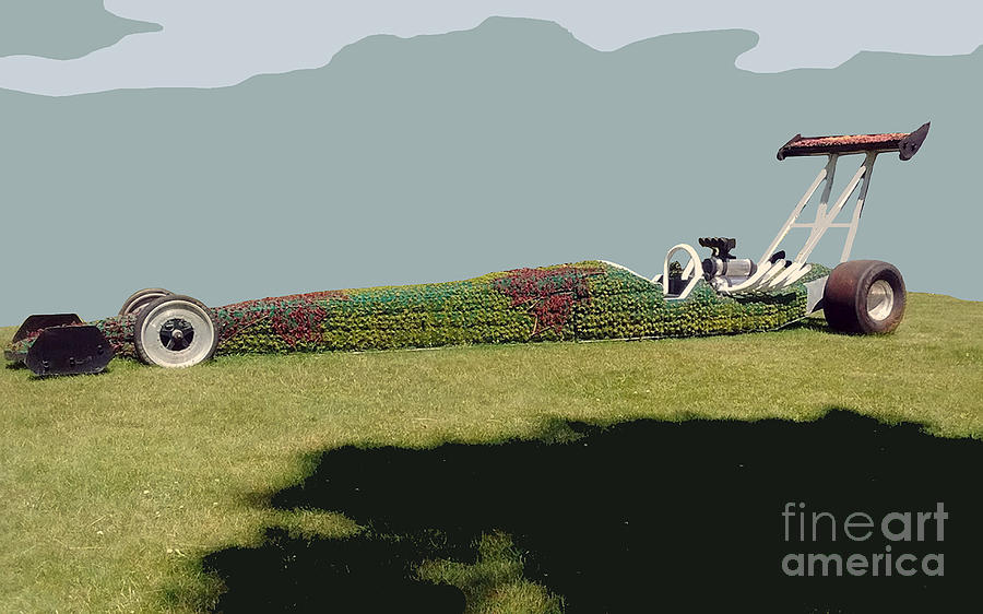 Dragster Flower Bed Photograph by Bill Thomson