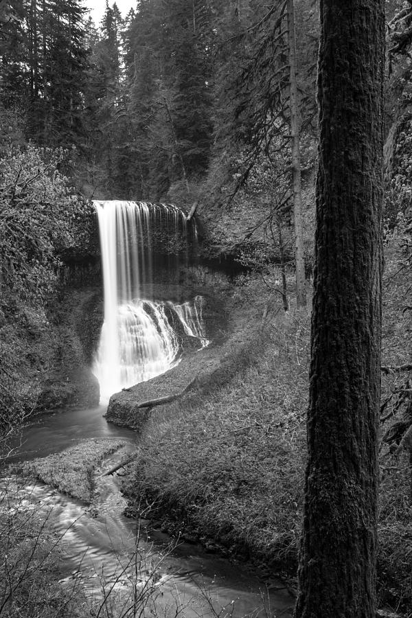 Drake Falls in Black and White  Photograph by John McGraw