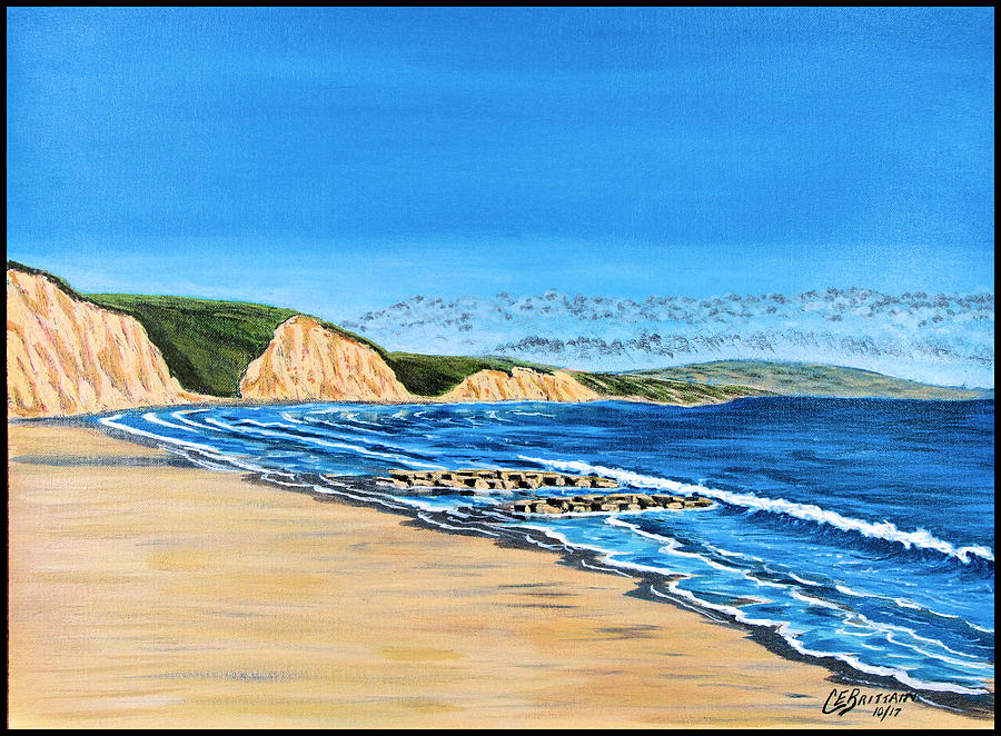 Beach Painting - Drakes Beach by Chad Brittain