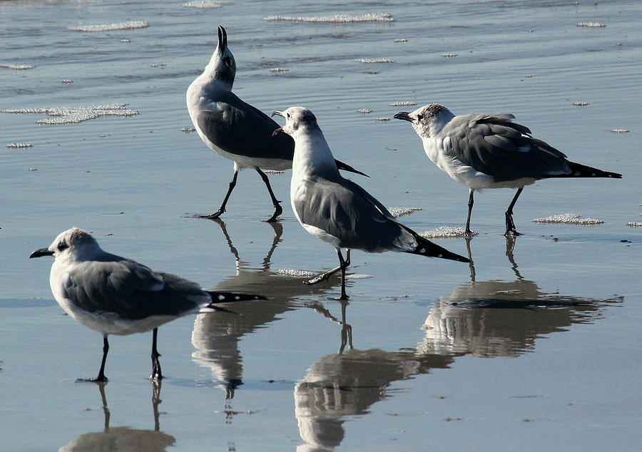 Drama on the Beach Photograph by Rosanne Jordan - Fine Art America