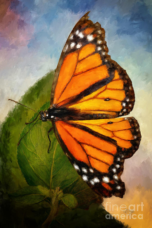 Butterfly Digital Art - Drama Queen by Lois Bryan
