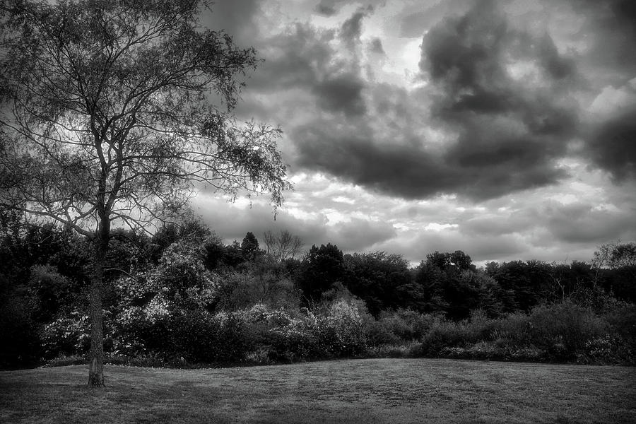 Dramatic black and white landscape Digital Art by Lilia S