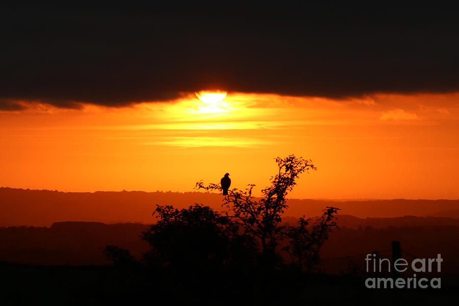 Nature Photograph - Dramatic Dawn by Jackie Tweddle