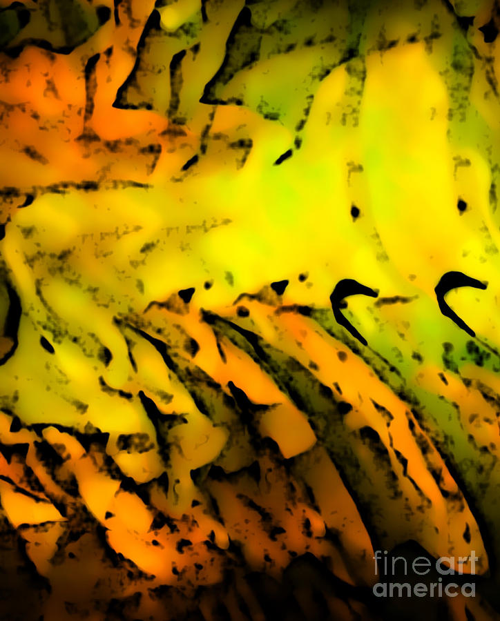 Yellow Digital Art - Dramatic  by Gayle Price Thomas