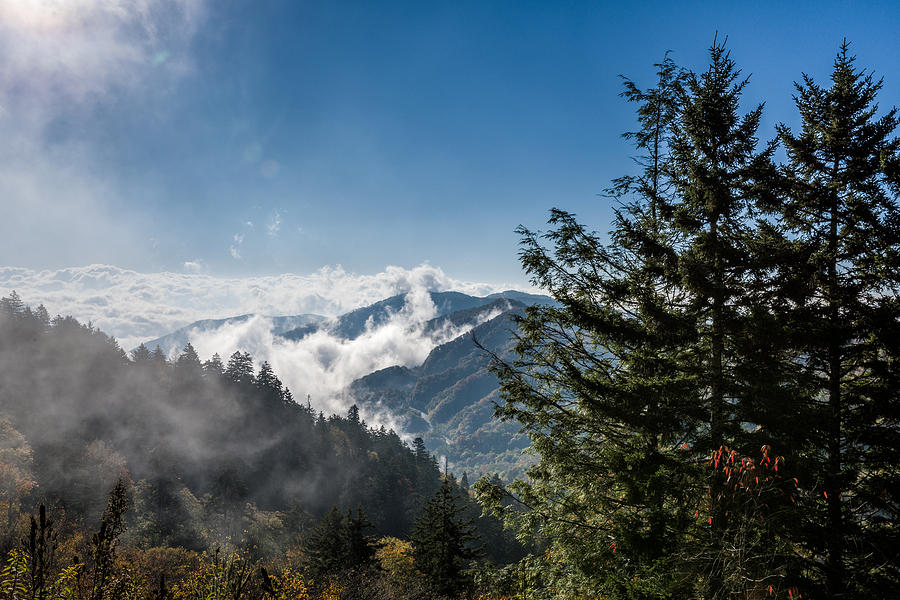 Dramatic Morning Fog In The Smokies Photograph