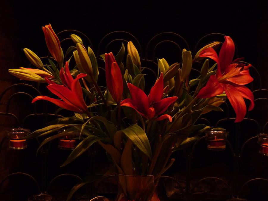 Dramatic Red Lilies Photograph by Margie Avellino