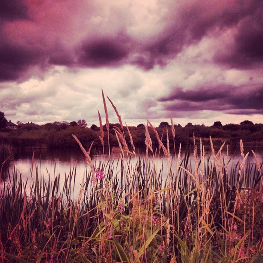 Dramatic Skies And Wild Grasses Photograph by Jennie Davies
