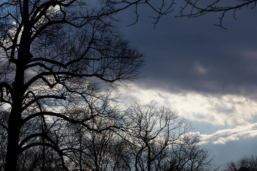 Dramatic Sky Clouds and Trees Photograph by Robert Ullmann