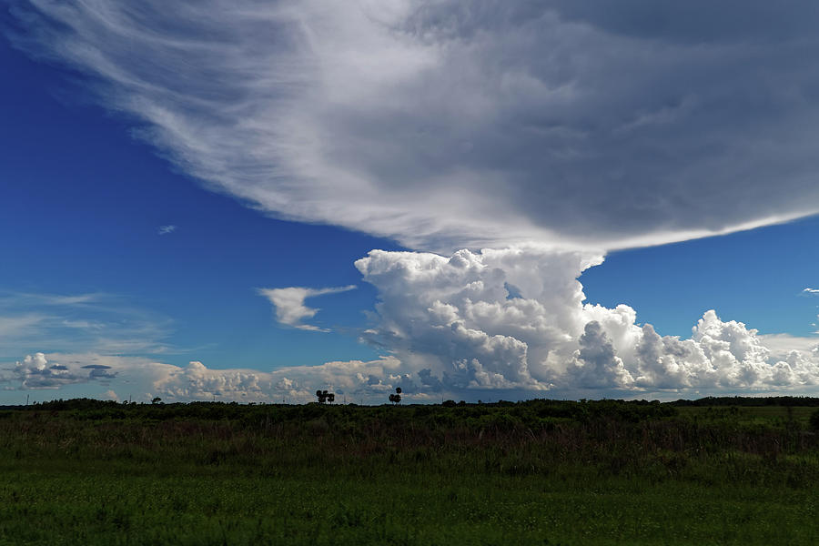 Dramatic Florida Sky Photograph by Jill Nightingale