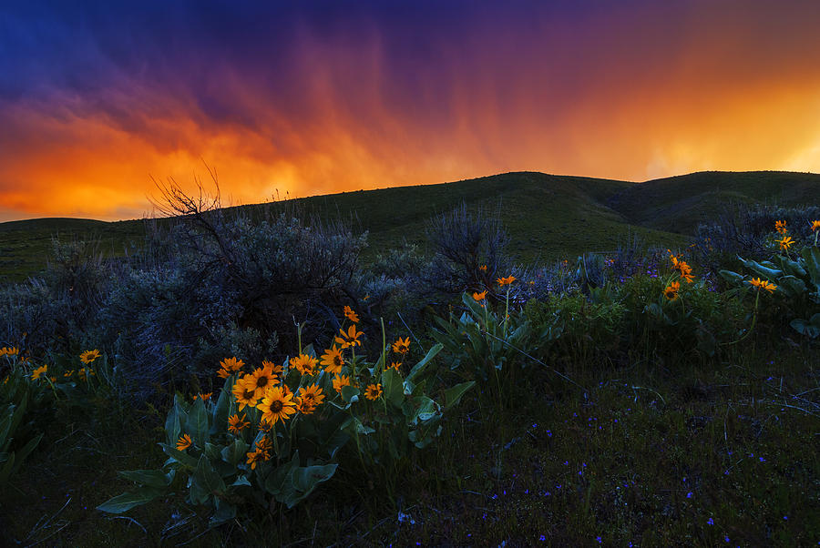 Dramatic Spring sunset in Boise Idaho USA Photograph by Vishwanath Bhat