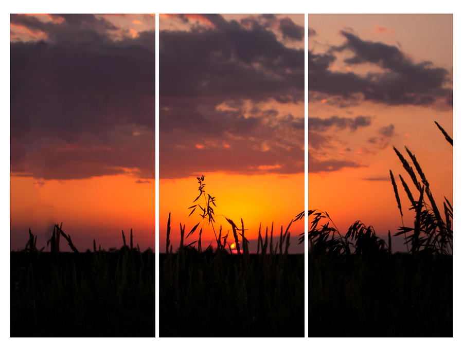 Sunset Photograph - Dramatic Sunset Triptych by Cynthia Woods
