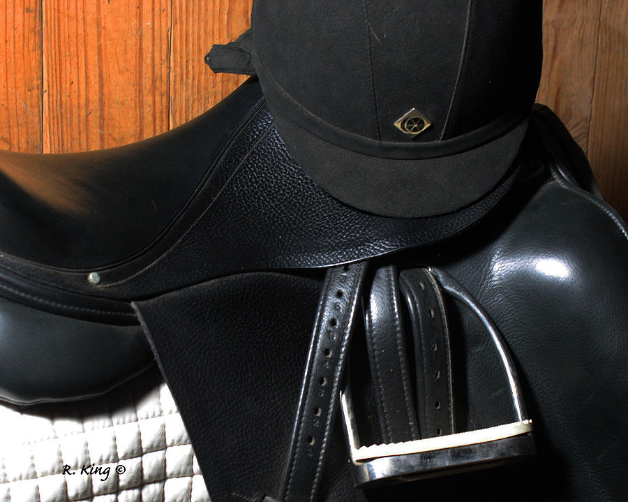 Drassage Ready by Roena King Drassage Ready by Roena King