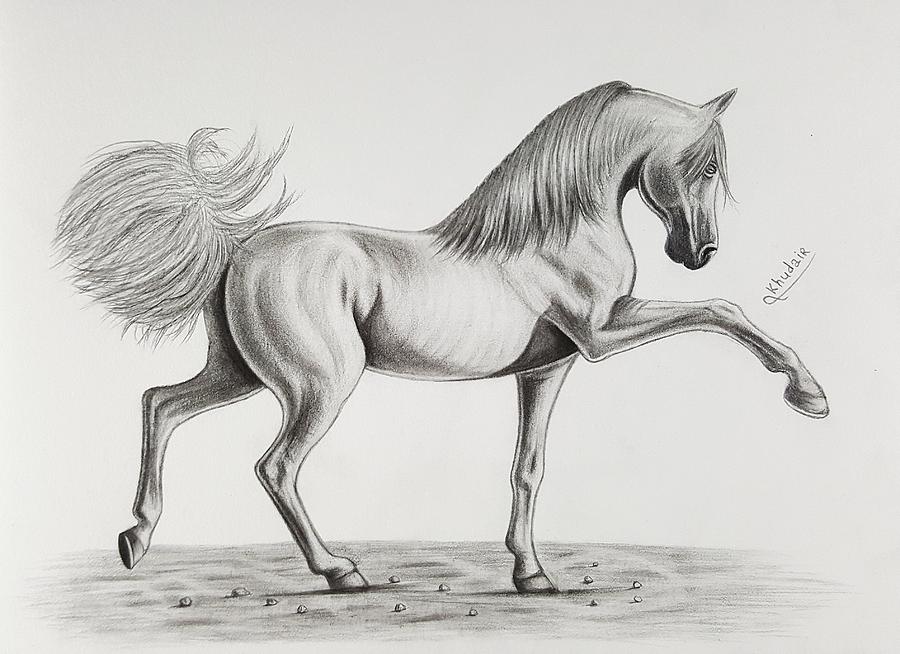Draw a horse with a pencil. Print your own painting Drawing by Khudair
