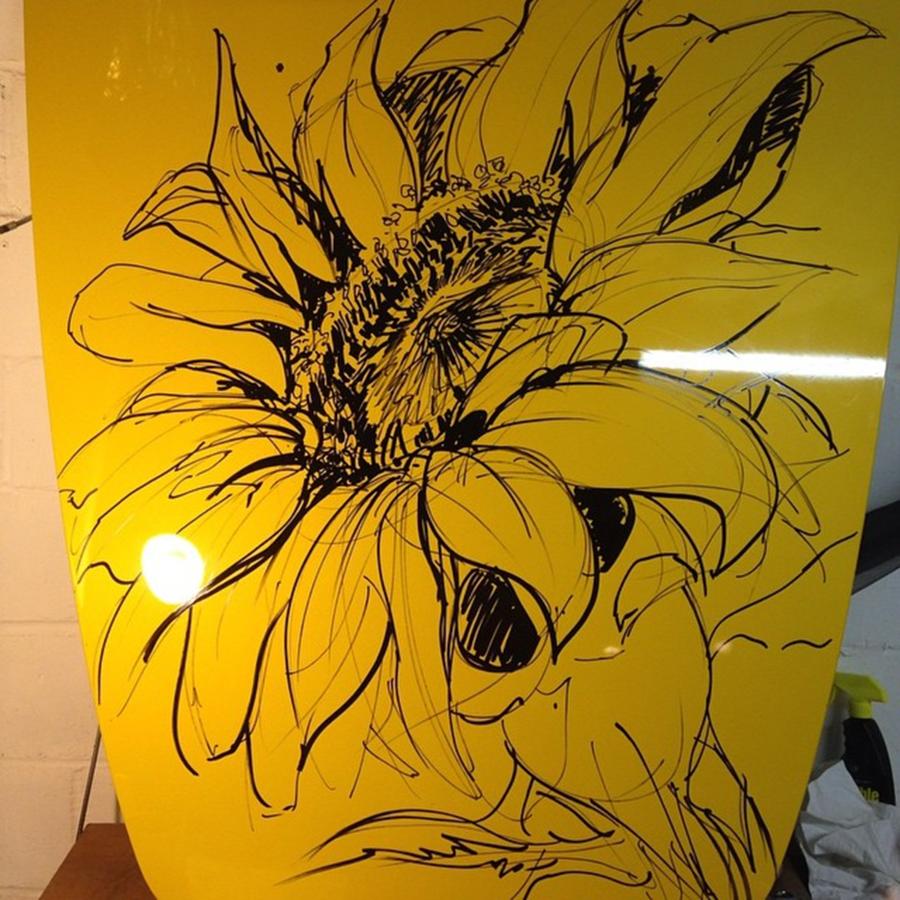 Sunflower Photograph - #draw #drawbig #sunflower by Noelle Dumas