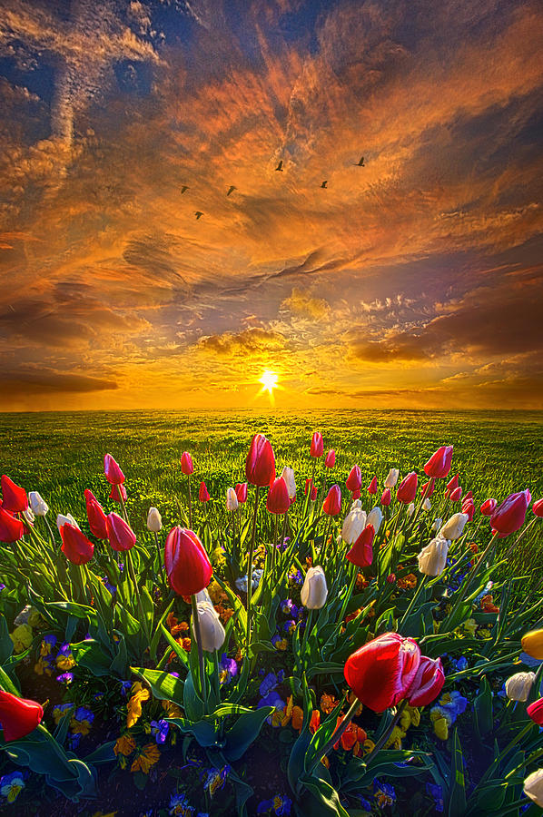 Drawing Near to Me Photograph by Phil Koch