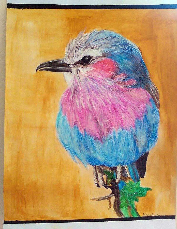 Drawing of a Lilac Breasted roller bird Drawing by Agata Niewitecka ...