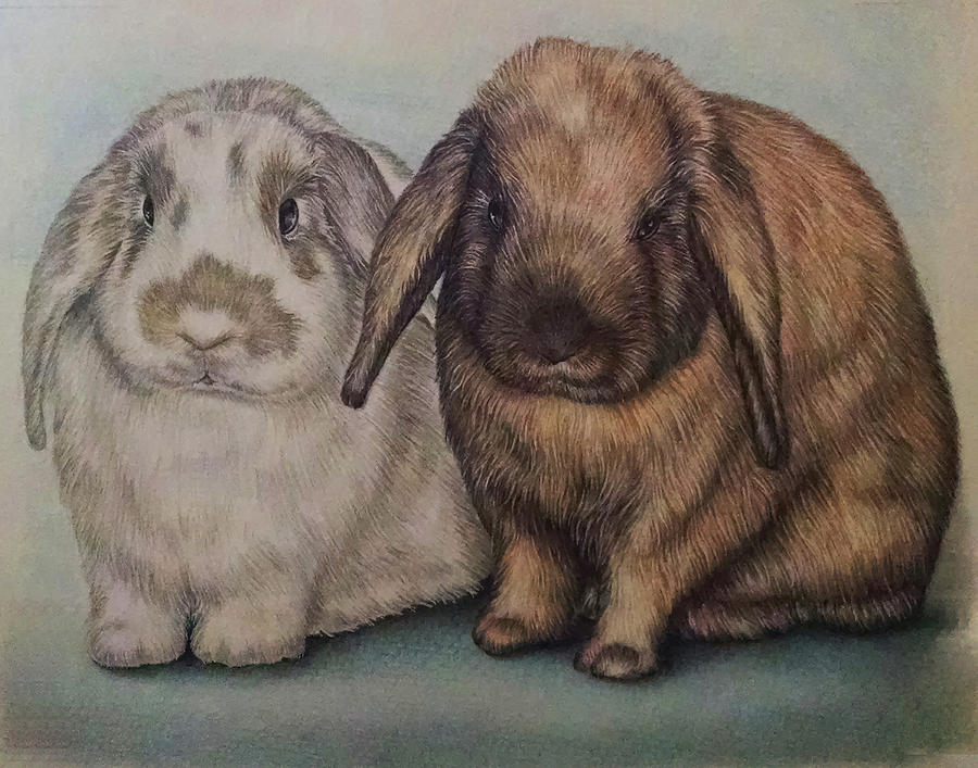 Rabbit Drawing - Drawing of Brown and White Bunnies by Lisa Marie Szkolnik