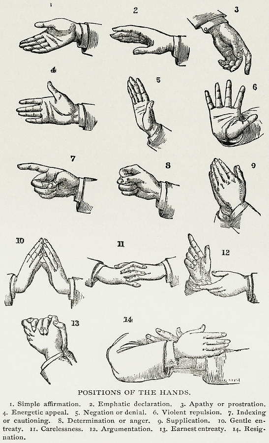 Drawings of hand gestures for sign language Painting by Vincent Monozlay