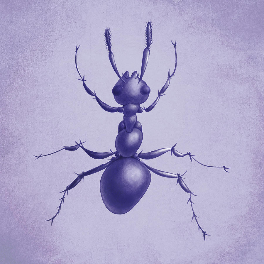 Ant Digital Art - Drawn Purple Ant by Boriana Giormova