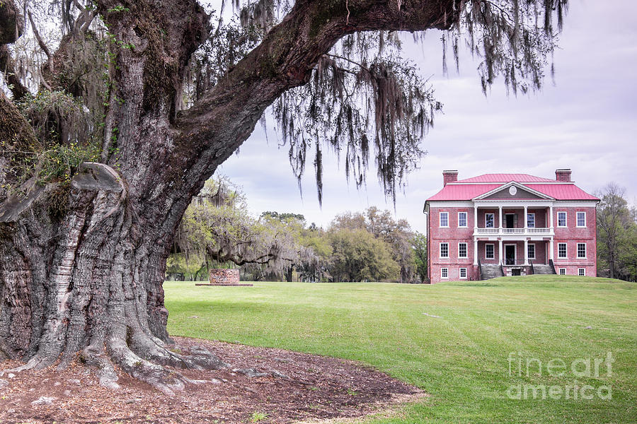 Drayton Hall Plantation Mount Pleasant South Carolina Photograph by Dawna Moore Photography
