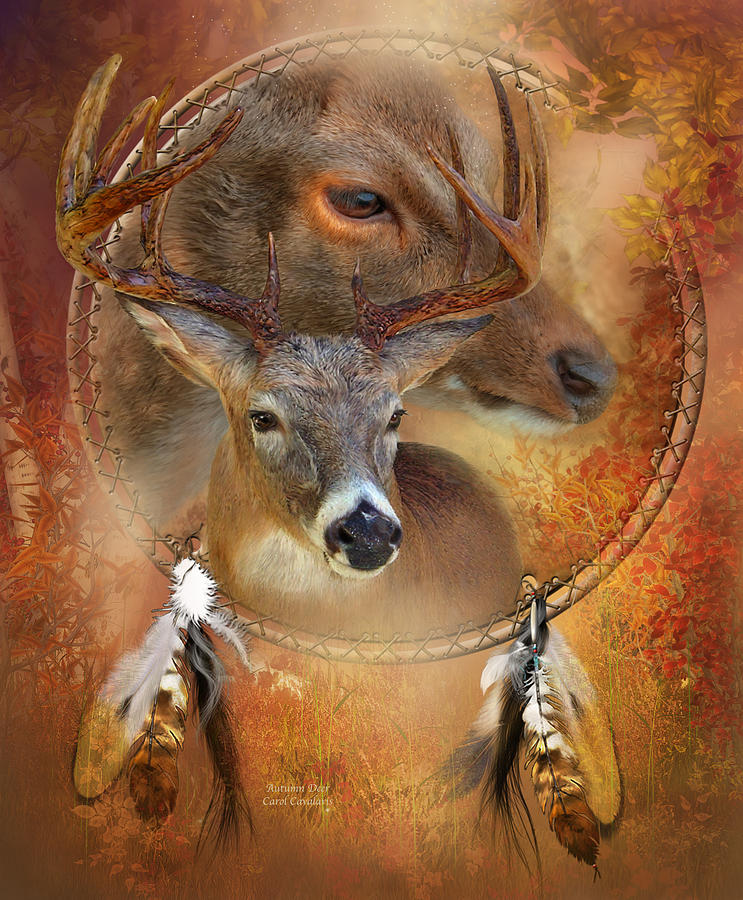 Dream Catcher - Autumn Deer Mixed Media by Carol Cavalaris