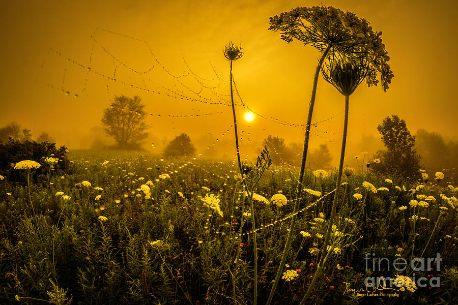 Spiders Web Photograph - Dream Catcher by Roger Carlsen Spiders Web Photograph - Dream Catcher by Roger Carlsen
