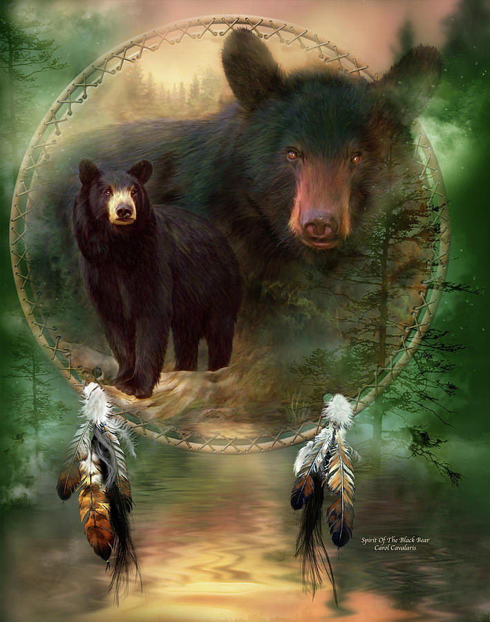 Dream Catcher - Spirit Of The Black Bear Painting by Carol Cavalaris