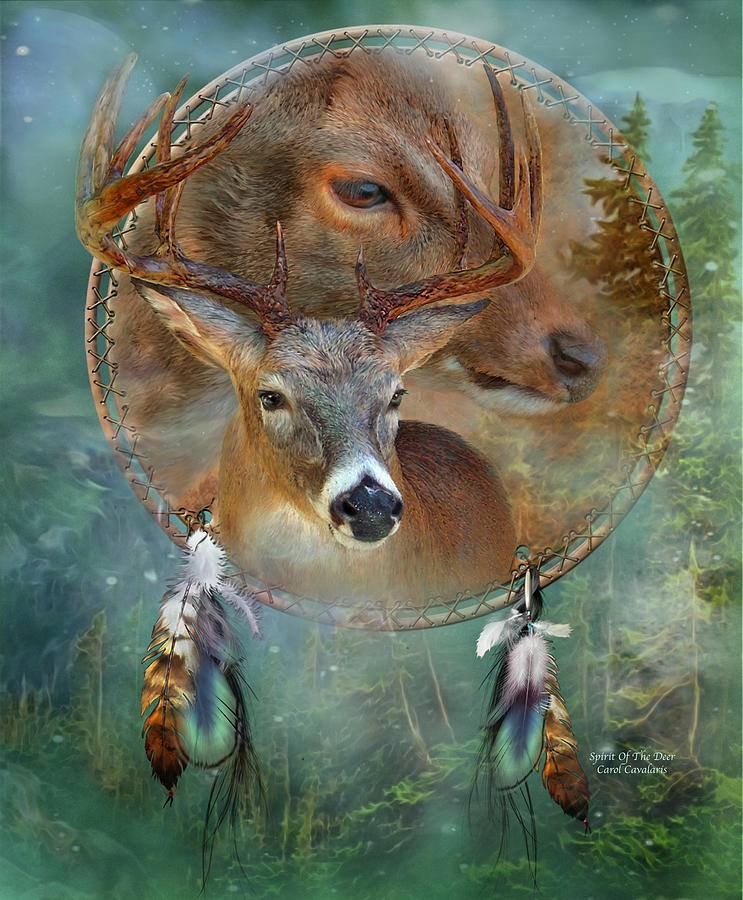 Dream Catcher - Spirit Of The Deer Mixed Media by Carol Cavalaris