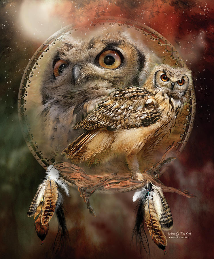 Carol Cavalaris Mixed Media - Dream Catcher - Spirit Of The Owl by Carol Cavalaris