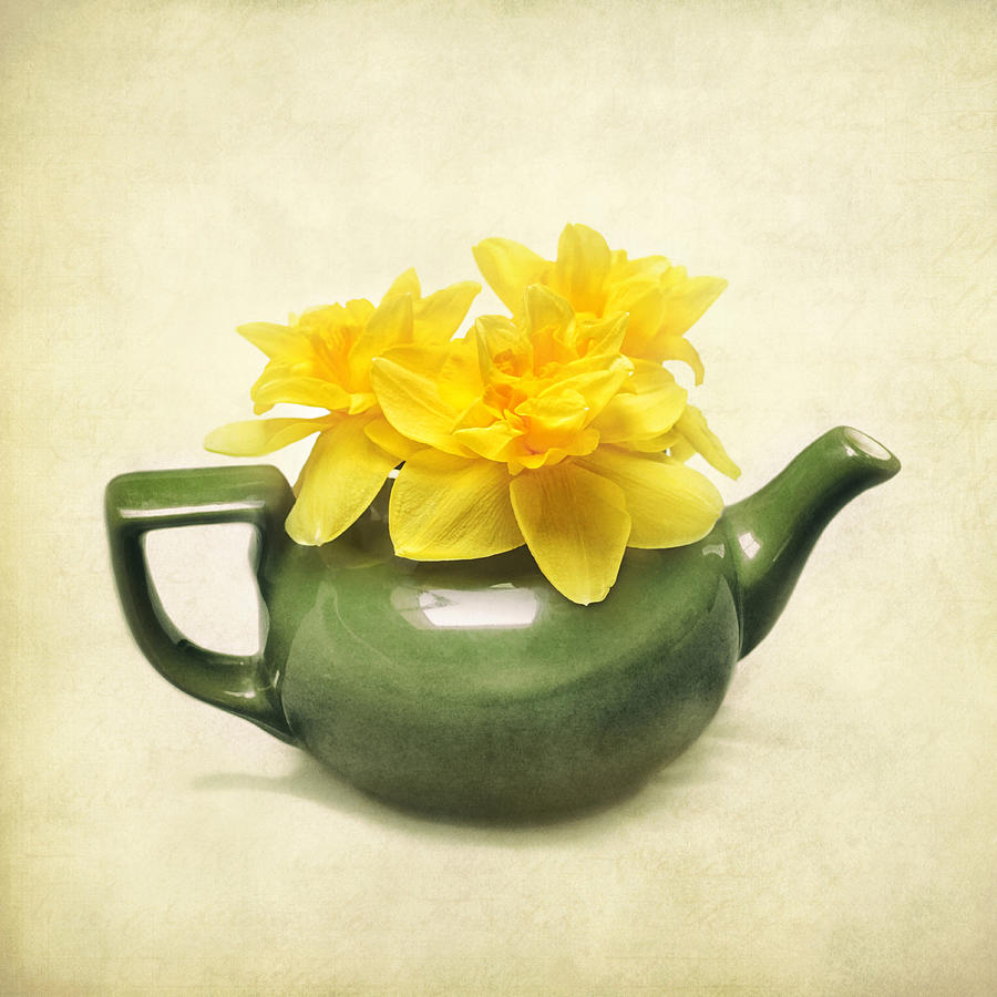 Dream Daffodils Photograph by Kathi Mirto