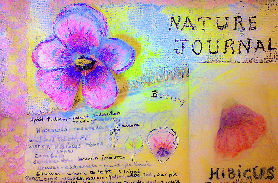 Dream Hibiscus 1 Nature Journal, Mixed Media