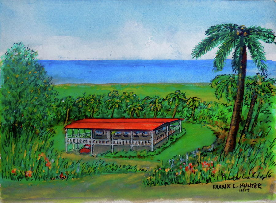 Dream Home on the Slopes of El Yunque Painting by Frank Hunter