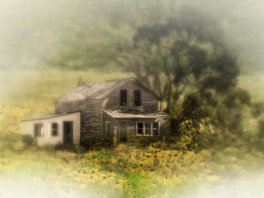 Dream House Photograph by John Anderson