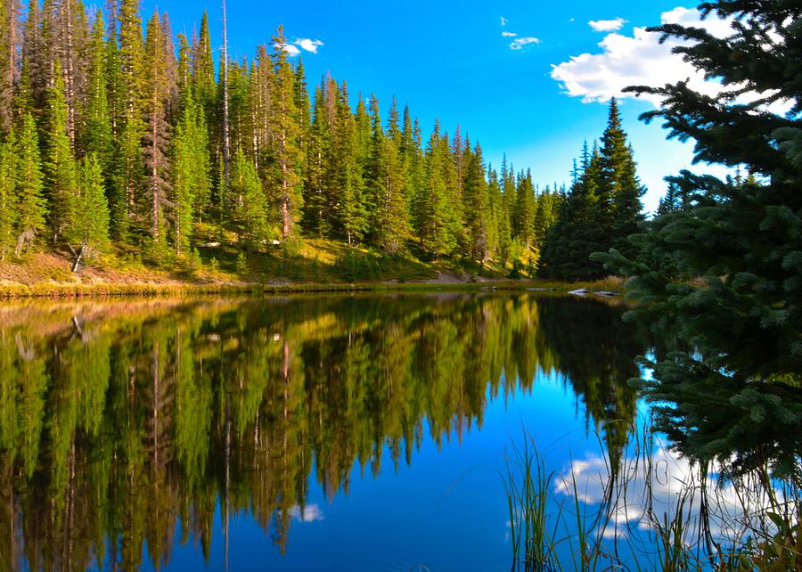 Dream Lake Photograph by Dennis Nelson - Fine Art America