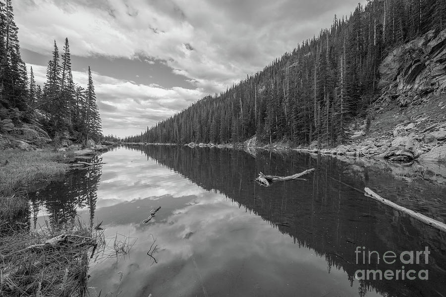 Dream Lake Reflections BW Photograph by Michael Ver Sprill