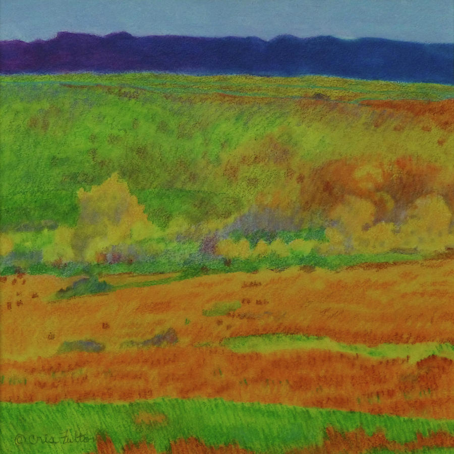 Dream of Dakota Land Painting by Cris Fulton