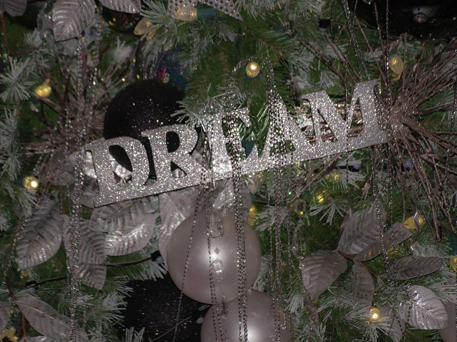 Holiday Dream Photograph by Stewart Helberg