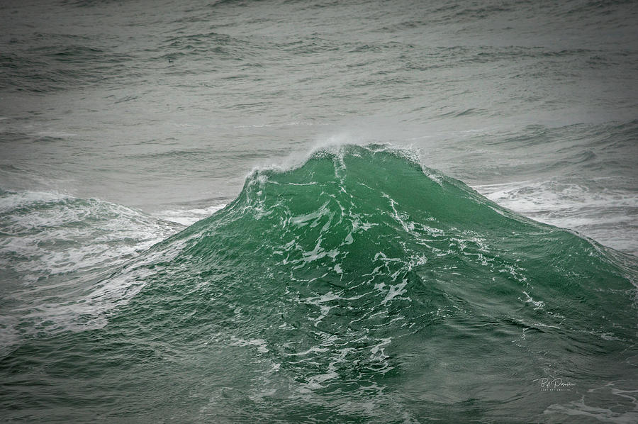 Dream Wave Photograph by Bill Posner
