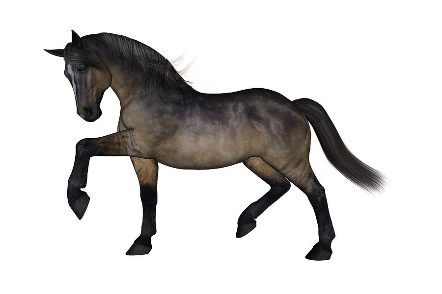 Horse Digital Art - Dreamer by Betsy Knapp