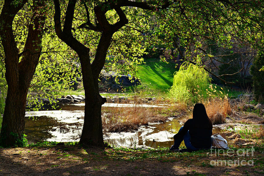 Dreaming by the Pond - Central Park in Spring Photograph by Miriam Danar