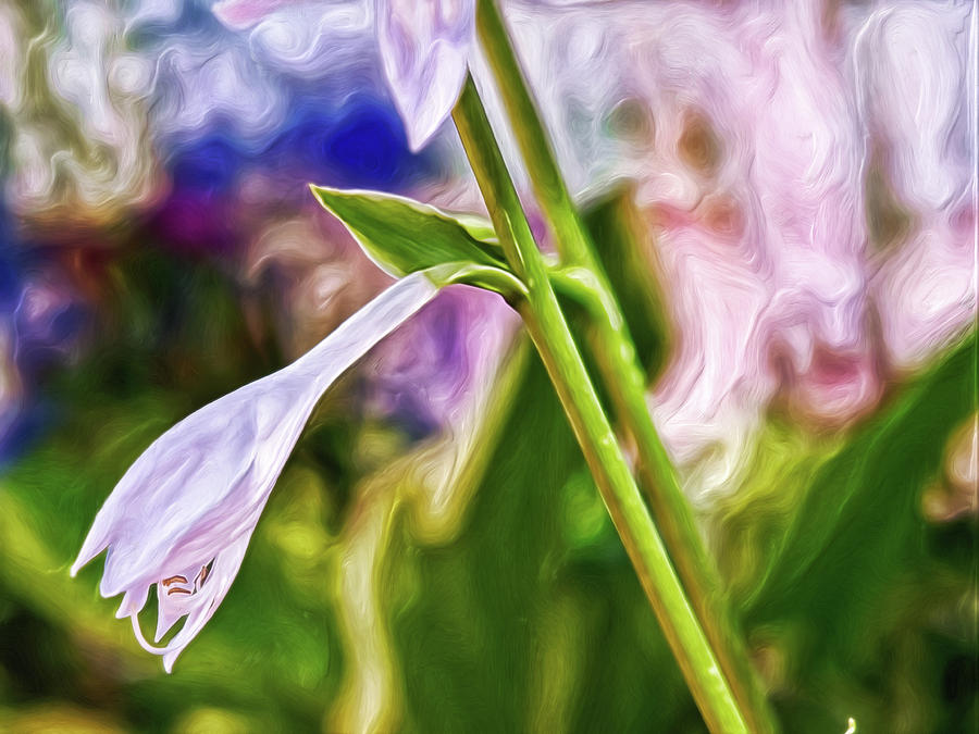 Dreaming Digital Art by Doctor MEHTA Dreaming Digital Art by Doctor MEHTA