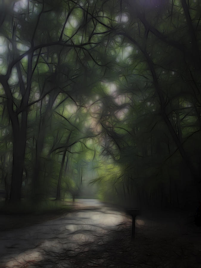 Dreaming Forest 1 Digital Art by William Horden