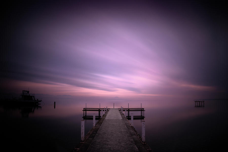 Dreaming in purple Photograph by Dominique Dubied