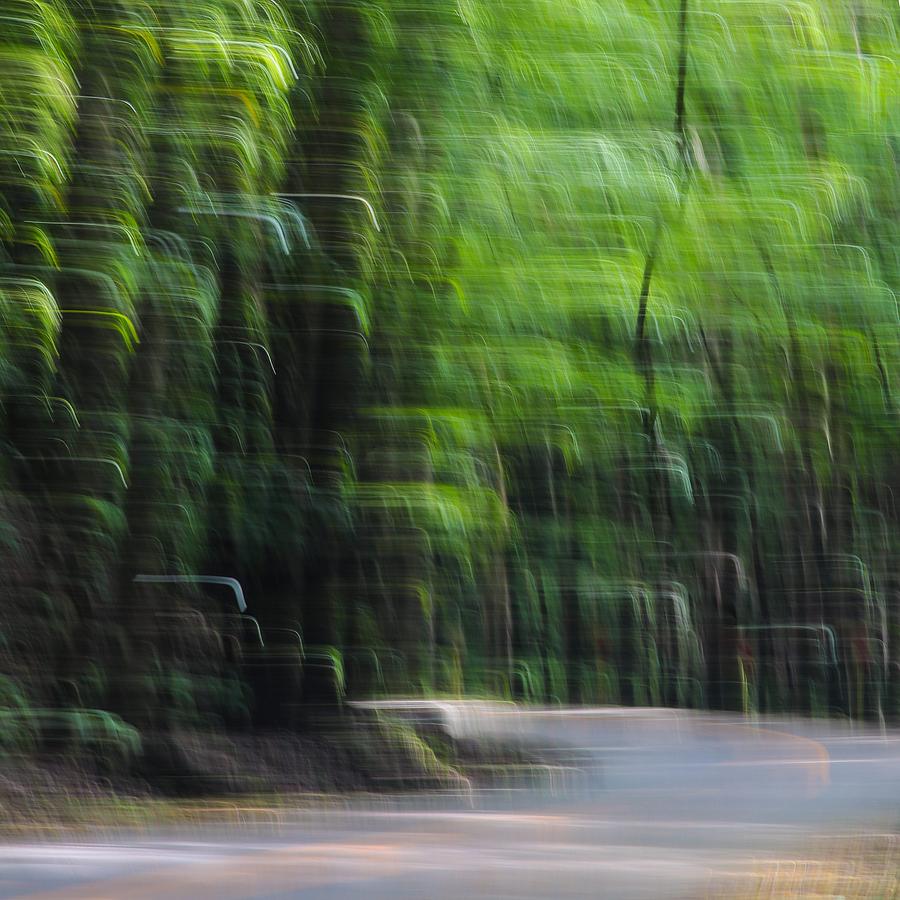 Abstract Photograph - Dreaming Jungle Road S by Patrice Laborda