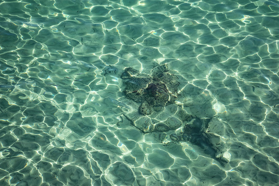 Dreaming of a Seaside Vacation - Crystal Clear Mediterranean Sunshine Photograph by Georgia Mizuleva